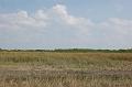 505. everglades
